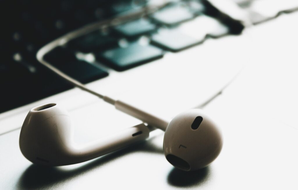 IEM Earphones