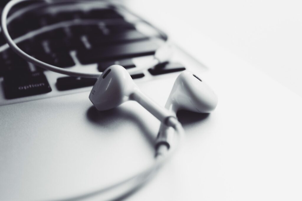 IEM Earphones