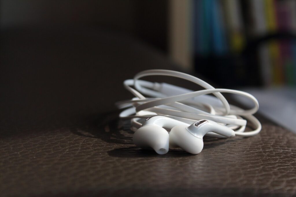 boat wired earphones